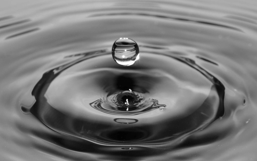 Optimizing Hydration and Digestion