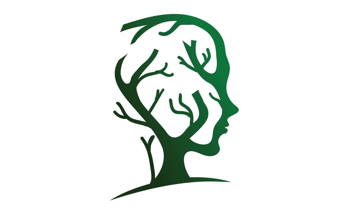 The Neuroscience of Ayurveda: Aligning Your Daily Habits for Positive Life