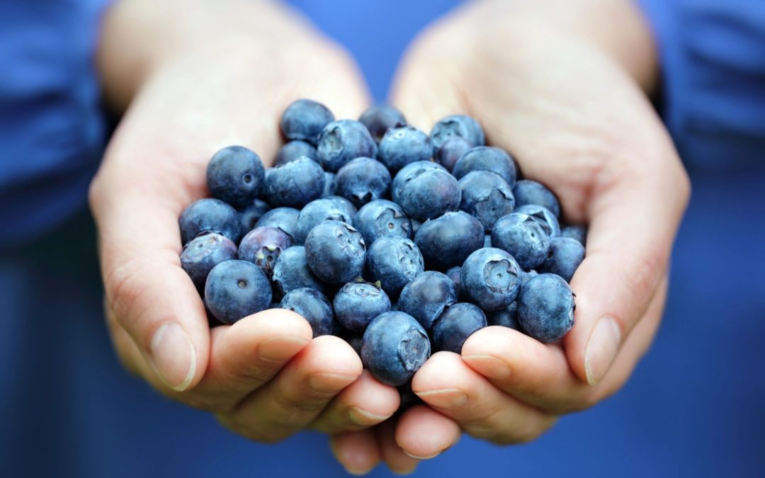 How to Heal Your Relationship With Food