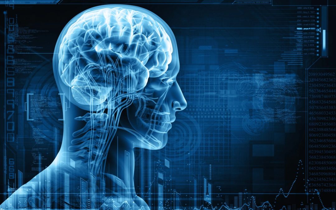 The Neuroscience of Meditation