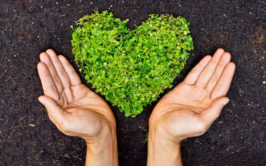Why to Change Your Diet and Lifestyle Seasonally