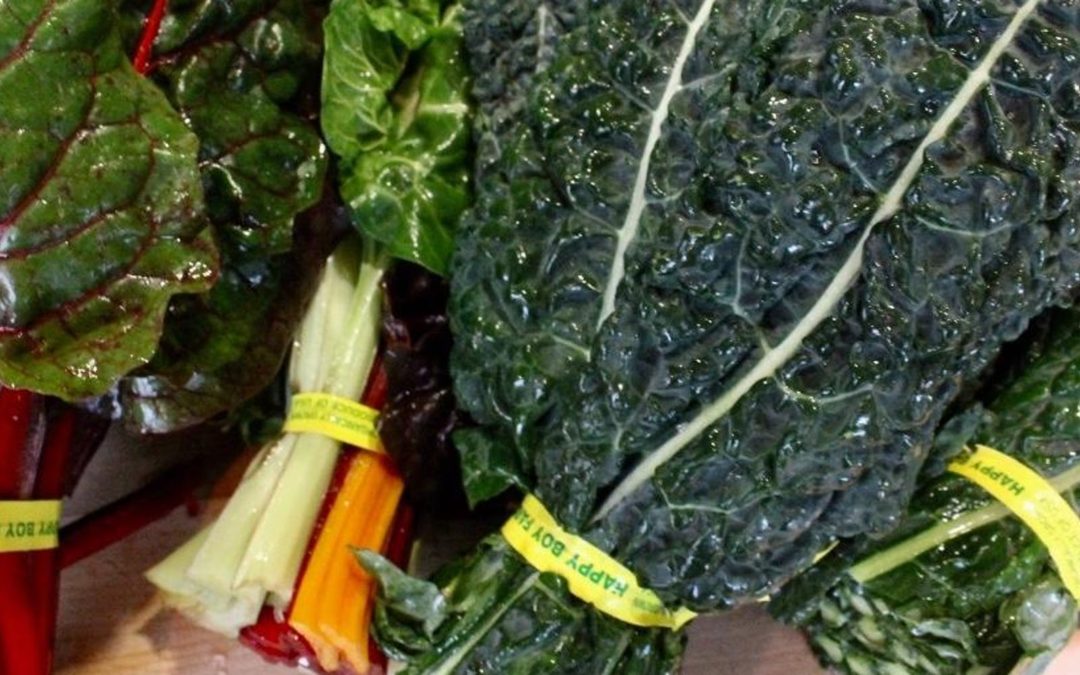 Spring Detoxification & Seasonal Diet Workshop