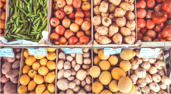 Cooked or Raw Foods?