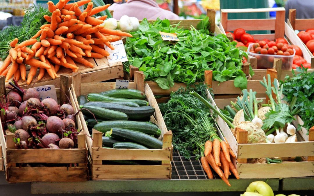 A Plant-Based Diet vs. An Ayurvedic Diet