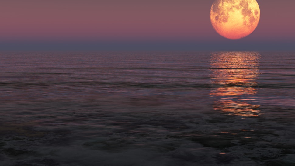 Spring Equinox: Transitioning into Spring