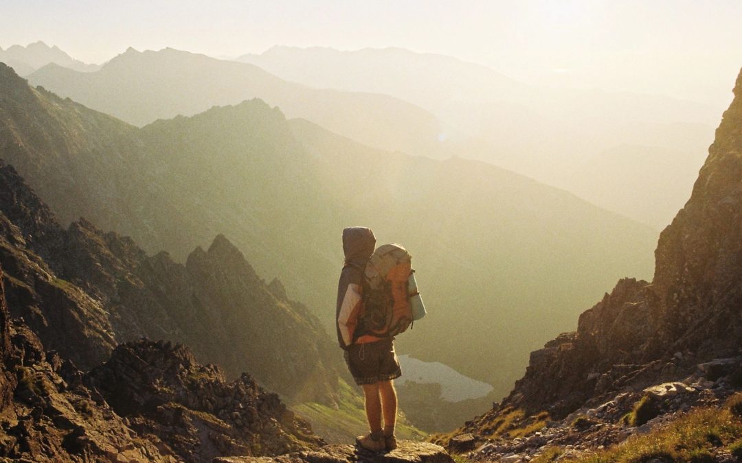 The Art of Procrastination and Building New Habits