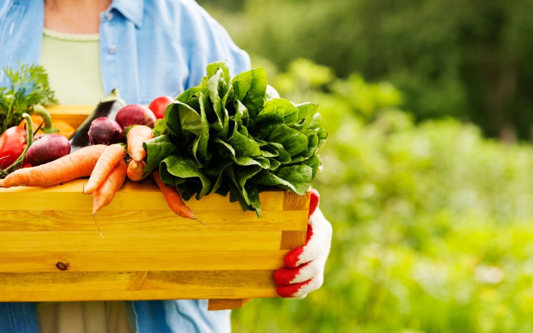 How to Begin an Anti-Inflammatory Diet