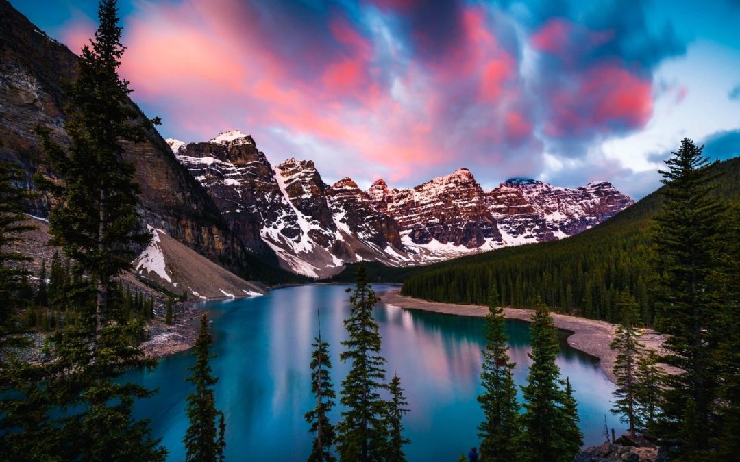 Nature as Healer