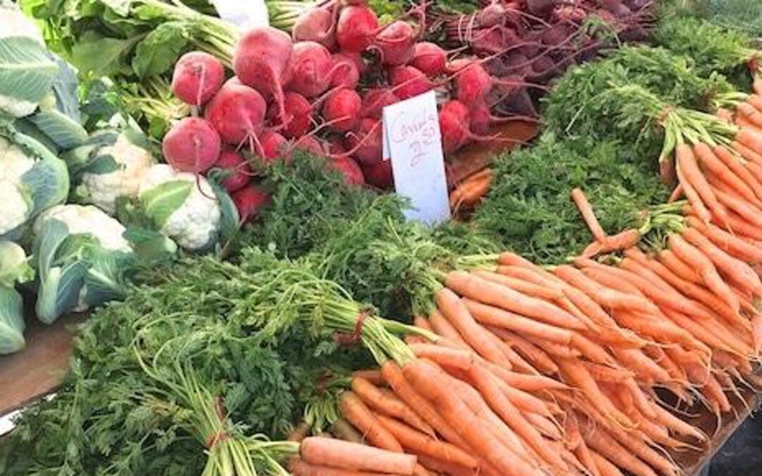 Introduction to Ayurveda and Ayurvedic Cooking