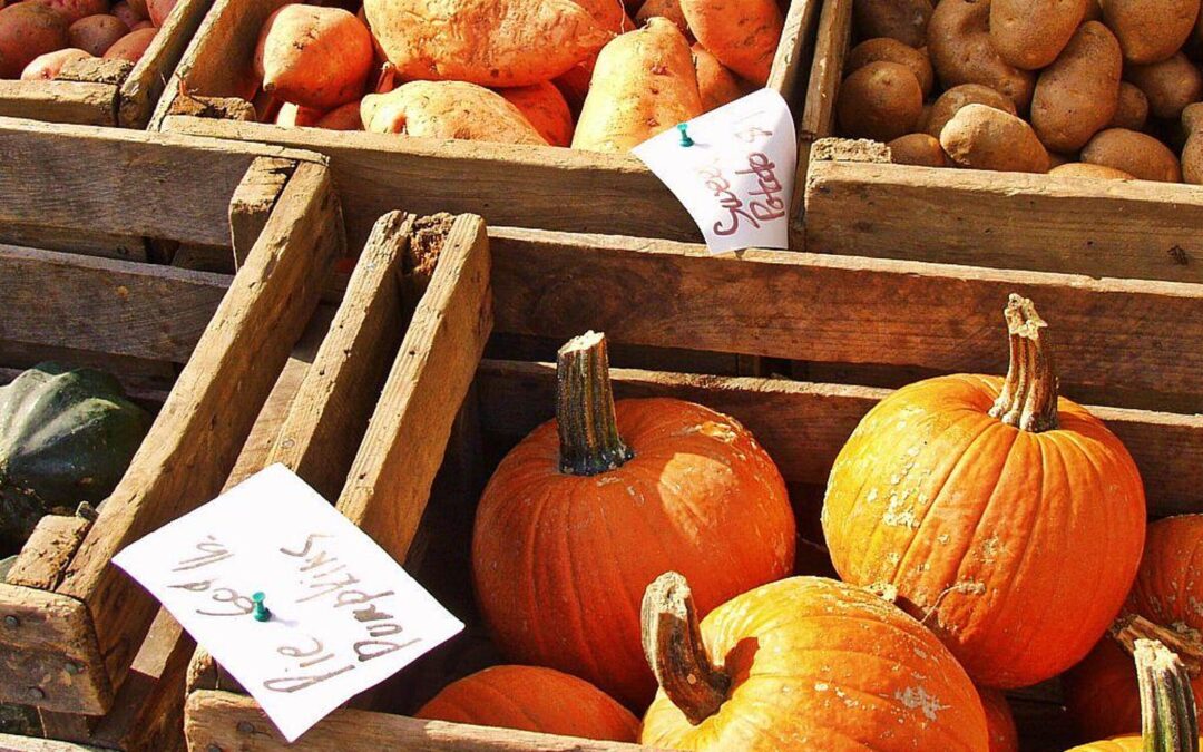 Ayurveda and Seasonal Eating