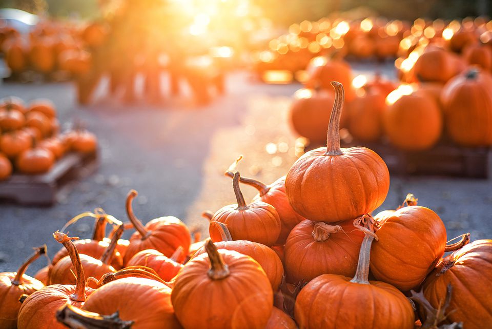 The Autumnal Shift