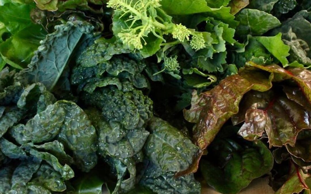 Ayurvedic Spring Detoxification and Cleanse