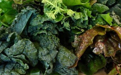 Ayurvedic Spring Detoxification and Cleanse