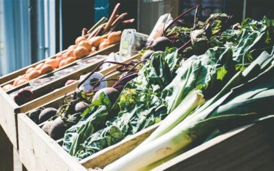 Ayurvedic Cooking Workshop