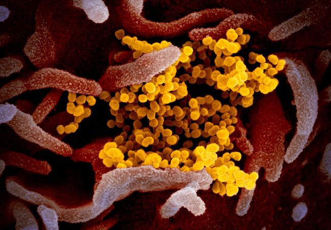 Strategies to staying safe against corona virus