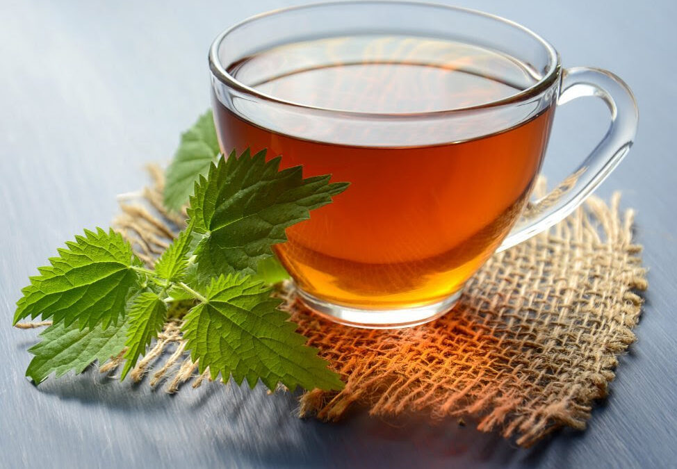 Finding Wellness in Balance