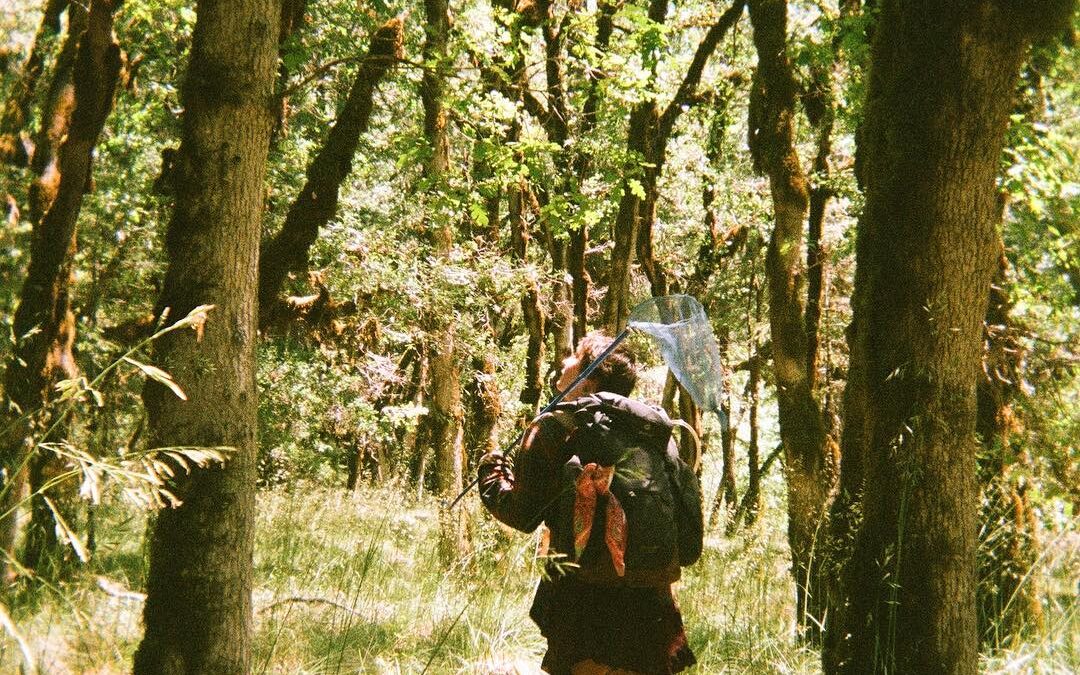 The Benefits of hiking in nature: Ancient wisdom meets modern science