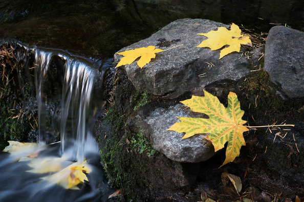 Refilling from your Well
