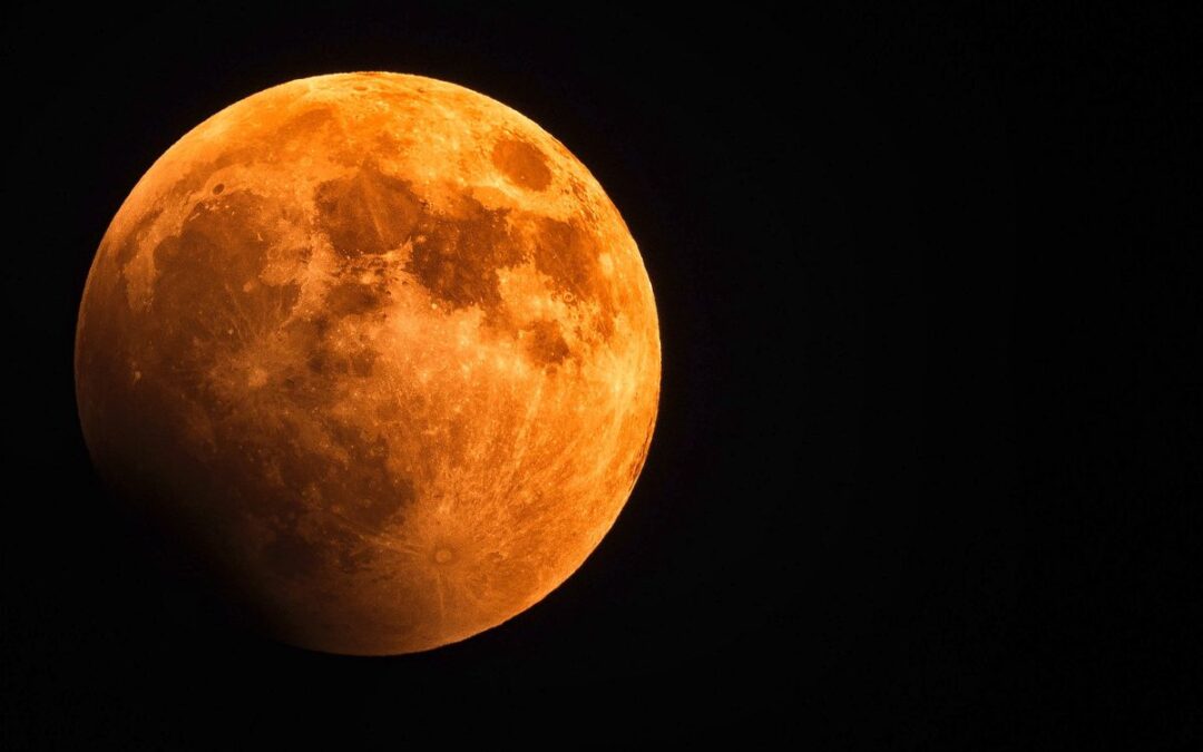 Vedic Astrology Forecast, 11.23–11.30.20