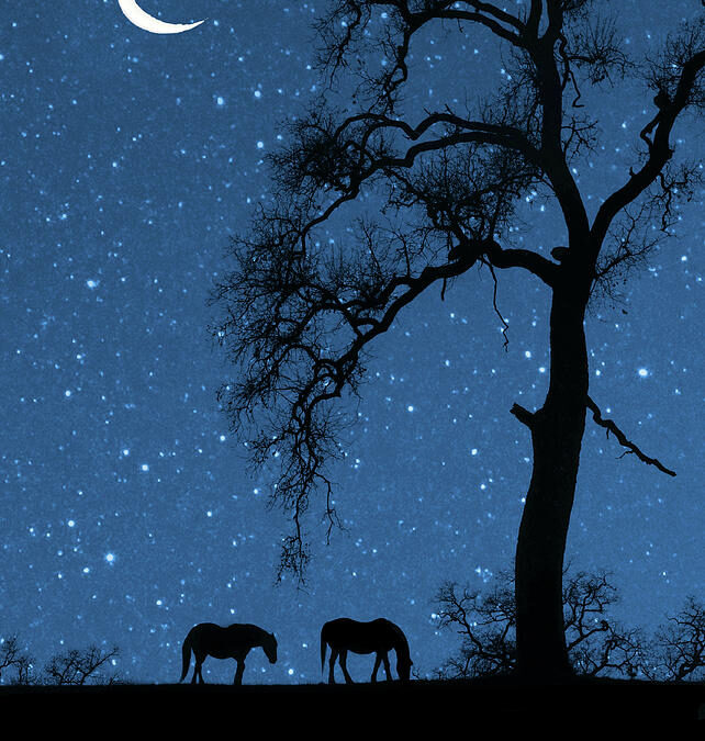 Vedic Astrology: New Moon in Sagittarius, Jan 14