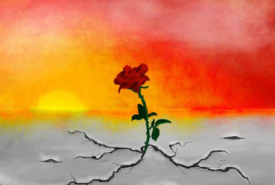 Vedic Astrology Forecast, Feb 22–Feb 29