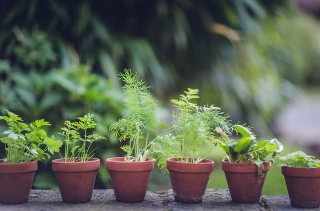 Vedic Astrology Forecast, Mar. 22–Mar. 29