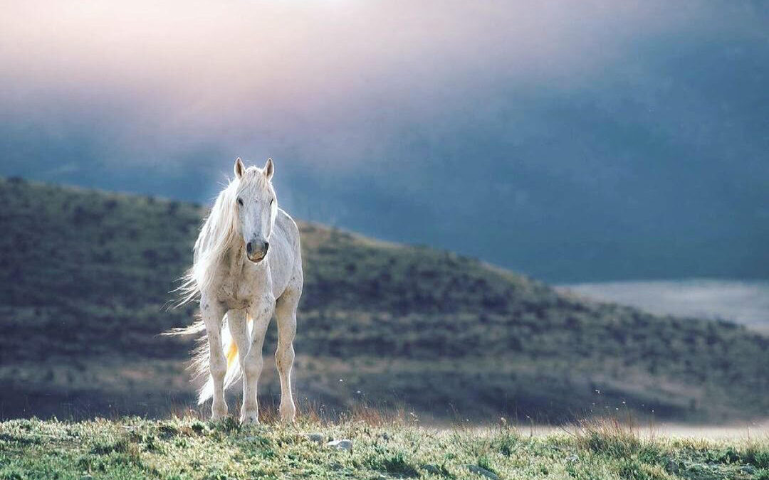 Vedic Astrology Forecast, Mar.15–Mar. 22