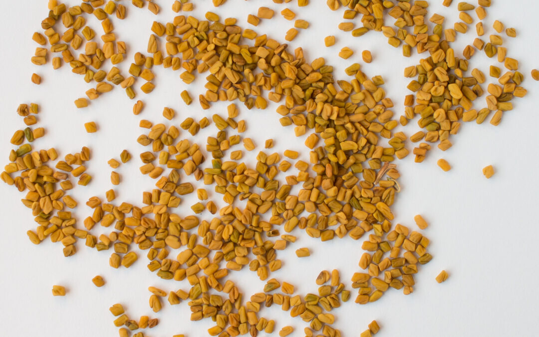 Benefits of Fenugreek