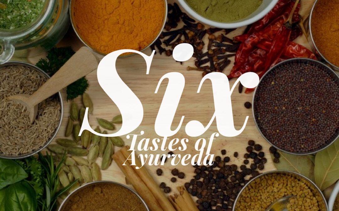 Using the Six Tastes in Fall