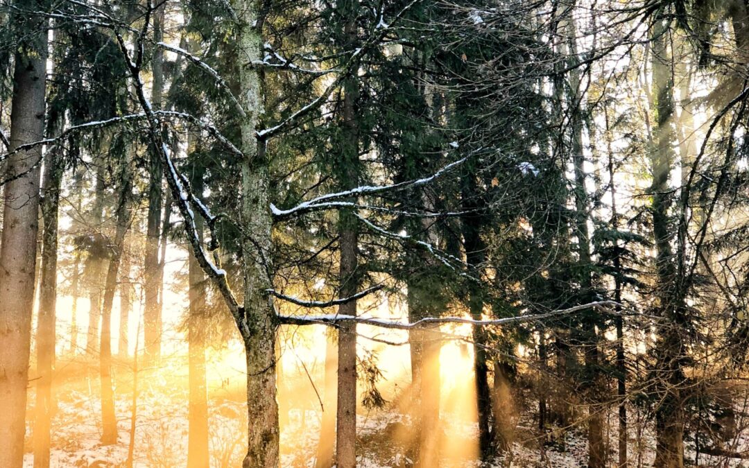 Transitioning to Winter