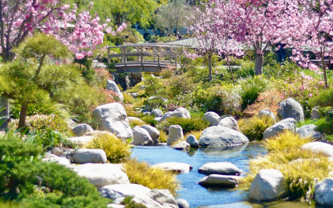 Welcoming Kapha Season