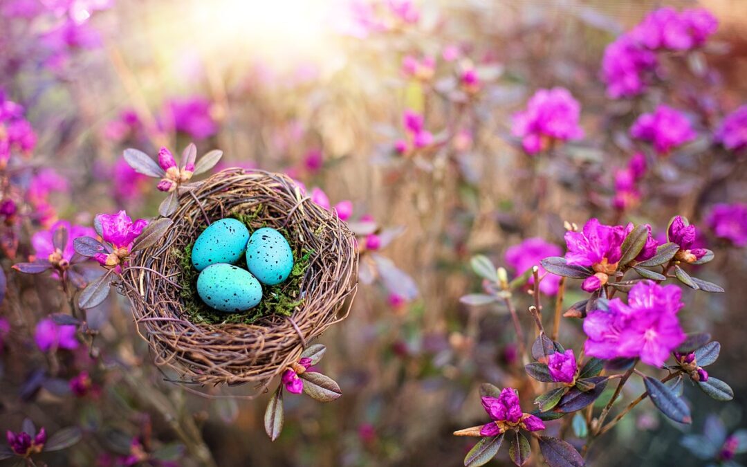Ayurvedic Spring Guide