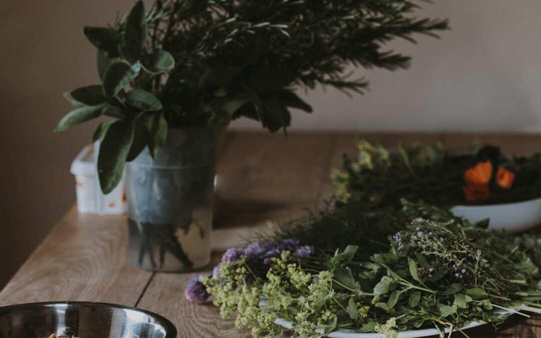 10 Ayurvedic Herbs for Stress
