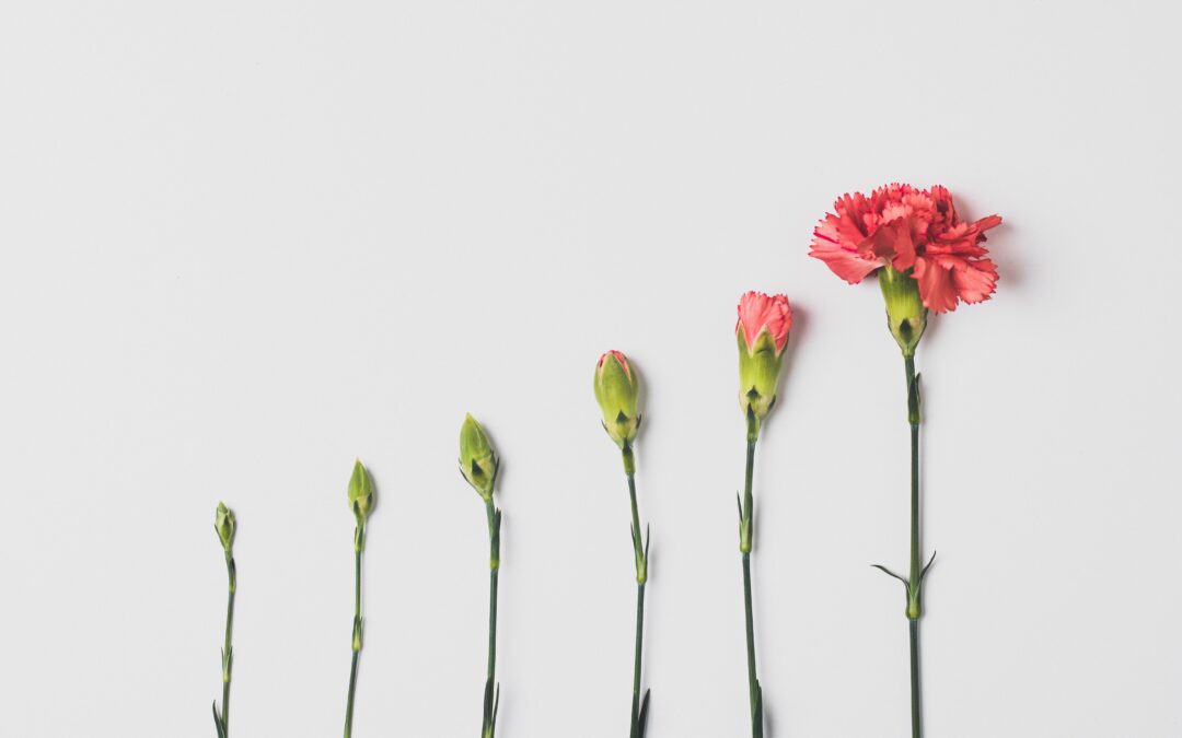 The Nature of Individuality, structure of life in health and disease