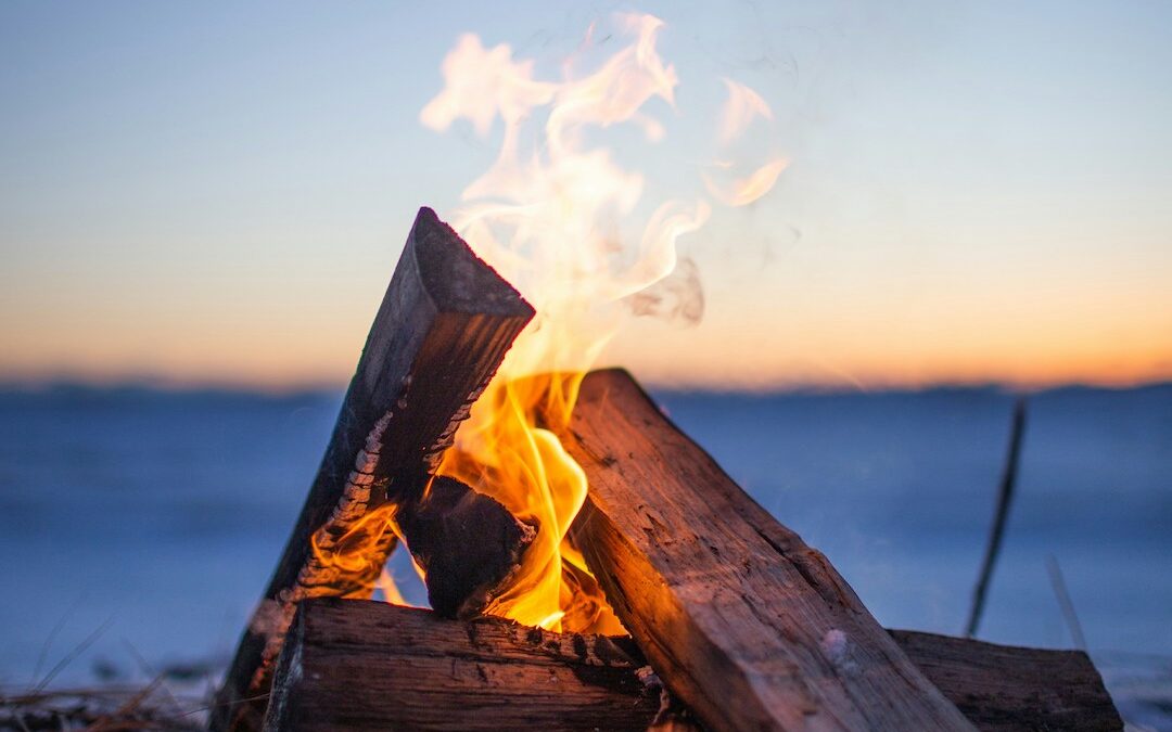 Agni: Metabolic-Mind Fire