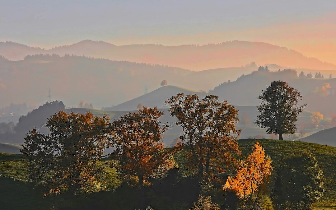 Stay Warm, Nourished, and Grounded this Autumn with Ayurveda