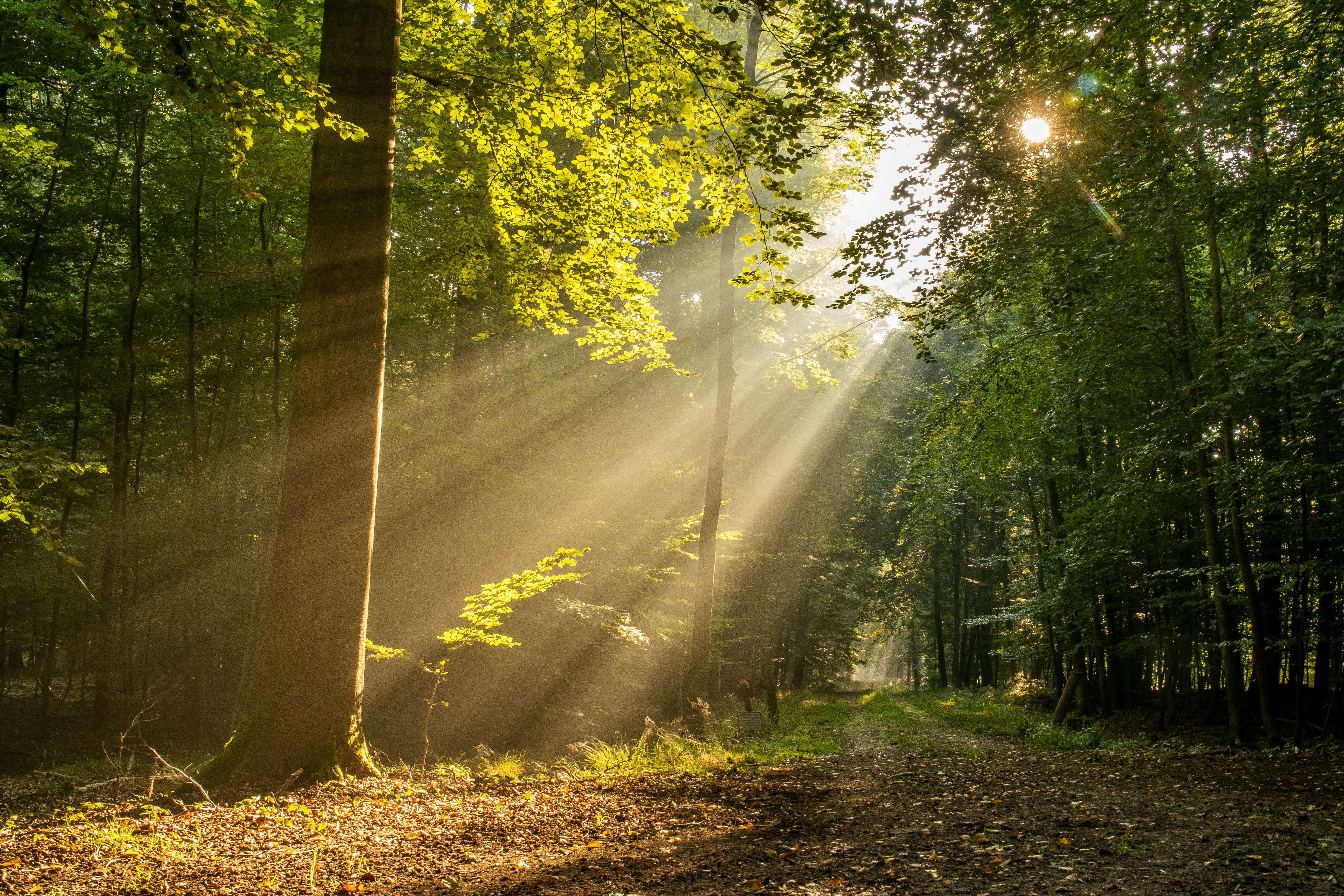 Ayurveda & The Sun