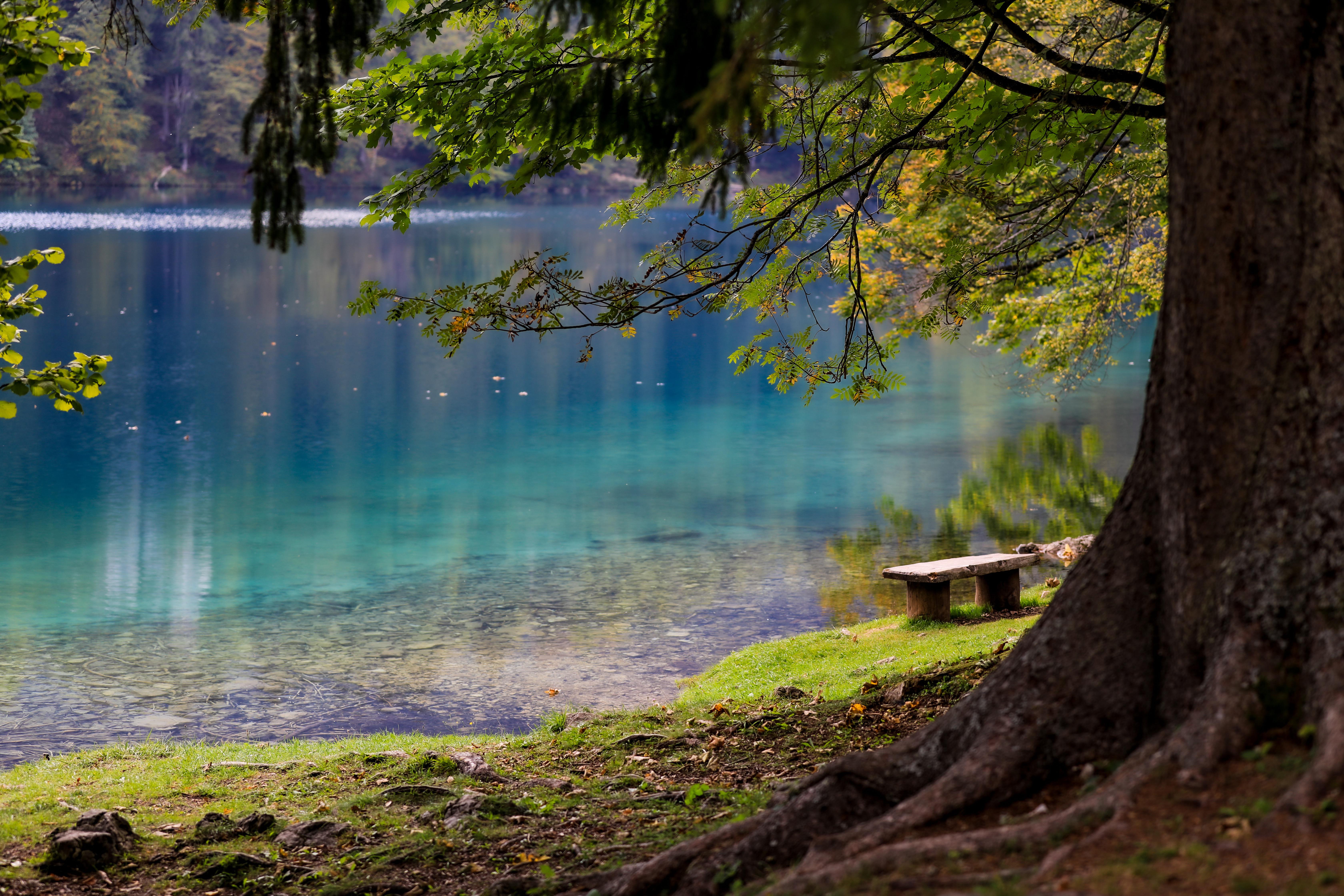 Ayurveda Cooling Summer Guide